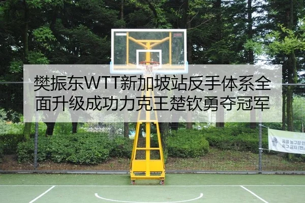 樊振东WTT新加坡站反手体系全面升级成功力克王楚钦勇夺冠军